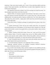 Oligopolinės įmonės elgsena 8 puslapis