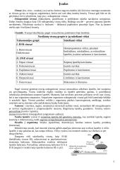 Onkogeninių virusų šeimos 3 puslapis