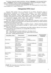 Onkogeninių virusų šeimos 6 puslapis