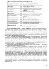 Onkogeninių virusų šeimos 8 puslapis