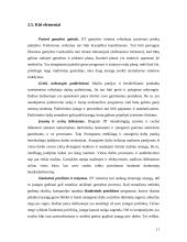 Operatyvaus gamybos valdymo teorija "just-in-time" (JIT) 11 puslapis