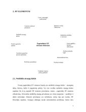 Operatyvaus gamybos valdymo teorija "just-in-time" (JIT) 7 puslapis