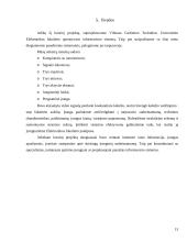 Optimalaus informavimo sistema 13 puslapis