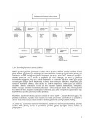 Optiniai jutikliai 5 puslapis