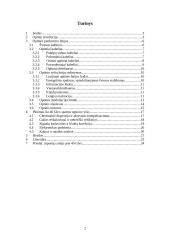 Optinis ryšys 2 puslapis