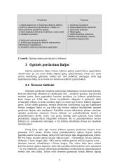 Optinis ryšys 6 puslapis