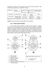 Optinis ryšys 8 puslapis