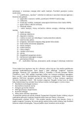 Orbitinės stotys 3 puslapis