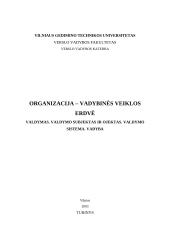 Organizacija – vadybinės veiklos erdvė