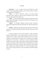 Organizacija – vadybinės veiklos erdvė 3 puslapis