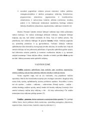 Organizacija – vadybinės veiklos erdvė 5 puslapis