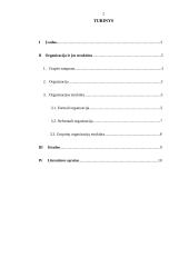 Organizacija ir jos struktūra