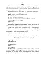 Organizacija ir jos struktūra 2 puslapis