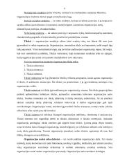Organizacija ir jos struktūra 3 puslapis