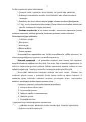 Organizacija ir jos struktūra 6 puslapis