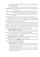 Organizacija ir jos struktūra 7 puslapis