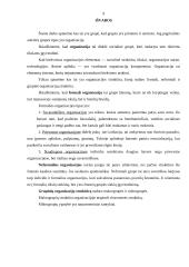 Organizacija ir jos struktūra 8 puslapis