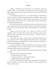 Organizacija kaip socialinė ekonominė sistema ir jos valdymas 3 puslapis