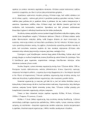 Organizacija kaip socialinė ekonominė sistema ir jos valdymas 6 puslapis