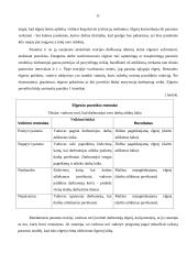 Organizacijos darbuotojų motyvacija 11 puslapis