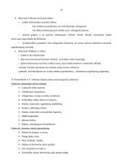 Organizacijos darbuotojų motyvacija 16 puslapis