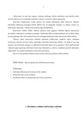 Organizacijos darbuotojų motyvacija 3 puslapis