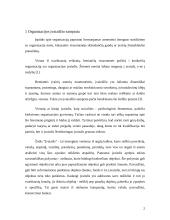 Organizacijos įvaizdis 2 puslapis