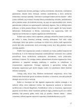 Organizacijos įvaizdis 12 puslapis