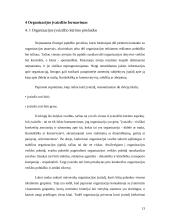 Organizacijos įvaizdis 13 puslapis