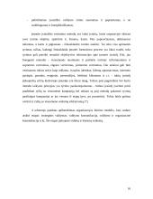 Organizacijos įvaizdis 16 puslapis