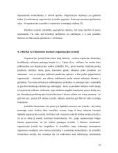 Organizacijos įvaizdis 18 puslapis