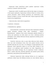Organizacijos įvaizdis 7 puslapis