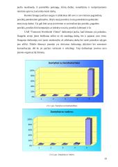 Organizacijos klimatas 19 puslapis
