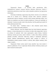 Organizacijos klimatas 3 puslapis