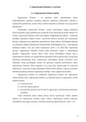 Organizacijos klimatas 4 puslapis