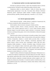 Organizacijos klimatas 5 puslapis