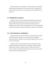 Organizacijos kultūros teorija, jos apibrėžimas, susiformavimas 17 puslapis