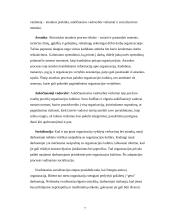 Organizacijos kultūros teorija, jos apibrėžimas, susiformavimas 6 puslapis