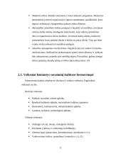 Organizacijos kultūros teorija, jos apibrėžimas, susiformavimas 8 puslapis