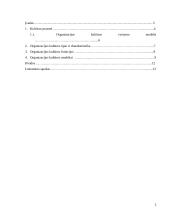 Organizacijos kultūros tipai ir modeliai 2 puslapis