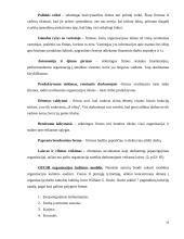 Organizacijos kultūros tipai ir modeliai 11 puslapis