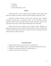 Organizacijos kultūros tipai ir modeliai 12 puslapis