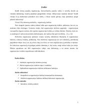 Organizacijos kultūros tipai ir modeliai 3 puslapis