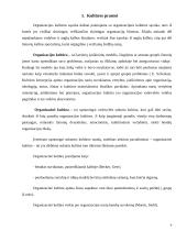 Organizacijos kultūros tipai ir modeliai 4 puslapis