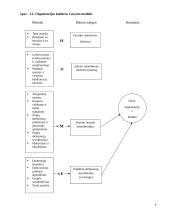 Organizacijos kultūros tipai ir modeliai 6 puslapis