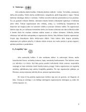 Organizacijos kultūros tipai ir modeliai 8 puslapis