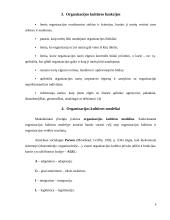 Organizacijos kultūros tipai ir modeliai 9 puslapis