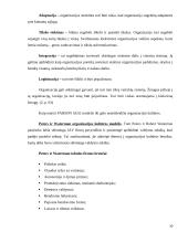 Organizacijos kultūros tipai ir modeliai 10 puslapis