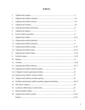 Organizacijos kultūros tobulinimas įmonėse 2 puslapis