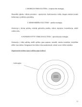 Organizacijos kultūros tobulinimas įmonėse 11 puslapis